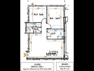 大坑 - 大坑台 17