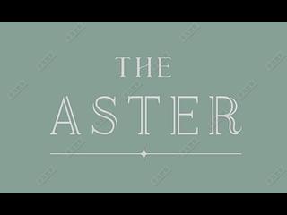 跑马地 - THE ASTER (RESIGLOW) 20