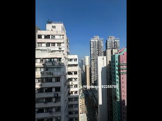 Sai Ying Pun - Aspen Court 09