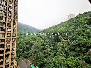 Tai Hang - Ronsdale Garden 07