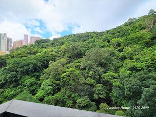 Tin Hau - The Pavilia Hill 02