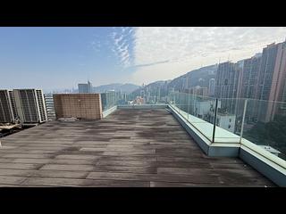 中半山 - 罗便臣道31号 23