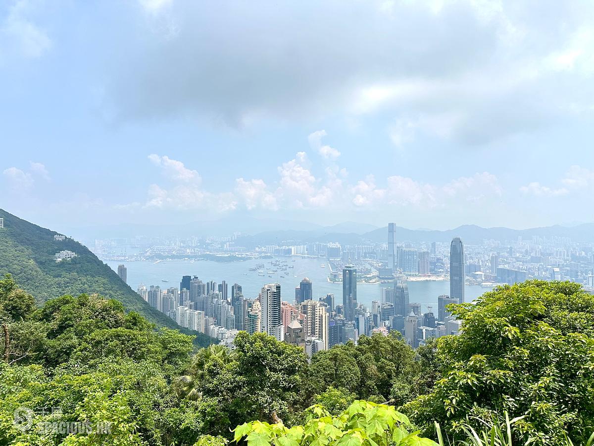 山頂 - 山景 種植道27號 01