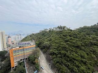 Shau Kei Wan - Island Garden Block 5 08