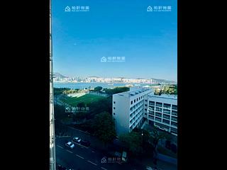 鲗鱼涌 - 英丽阁D座 02