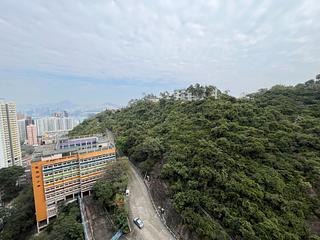 Shau Kei Wan - Island Garden 07