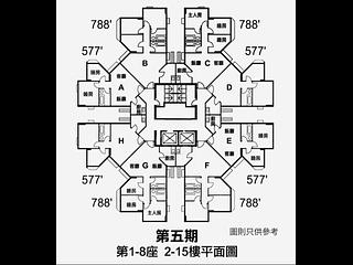 黃埔花園 - 黃埔花園5期 青樺苑 02