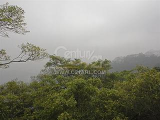 The Peak - Cheuk Nang Lookout 11