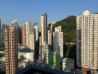 Tai Hang - Warrenwoods 02