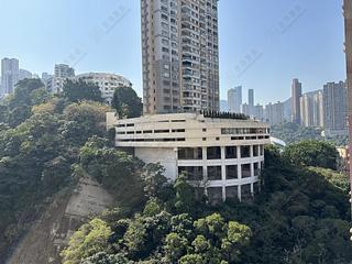 Tai Hang - Warrenwoods 09