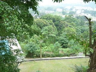 Sai Kung - Greenwood Villa 08