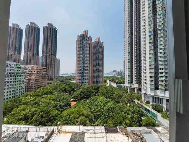 Tai Kok Tsui - Man Lee Building 01