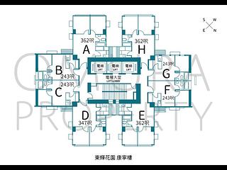 Poho - 东辉花园 04