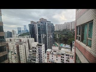 北角 - 港运城 02