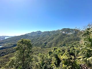 司徒拔道 - 中峡道24号 08