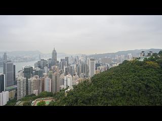 東半山 - Bowen's Lookout 09