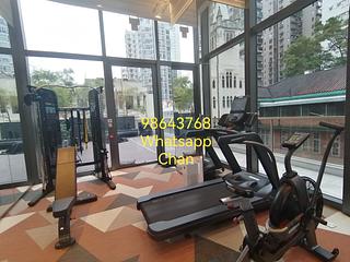 Sai Ying Pun - 15, Western Street 14