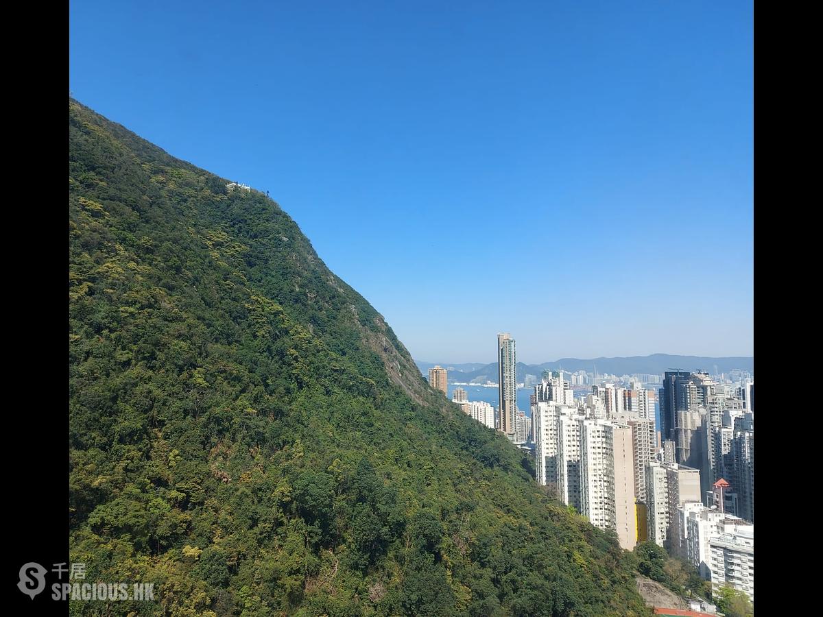 中半山 - 晓峰阁1座 01