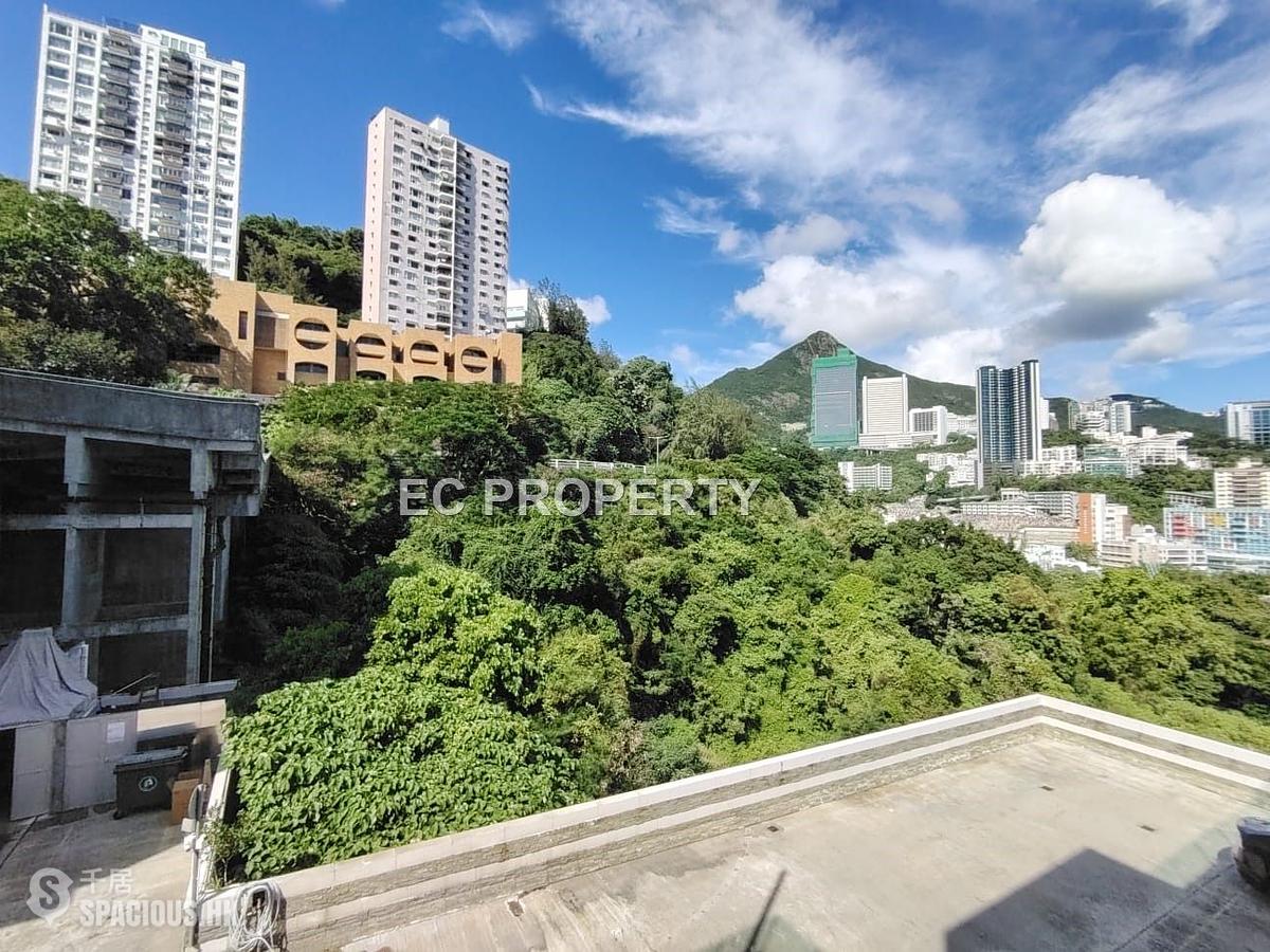 Pok Fu Lam - Villa Cecil Phase 3 01