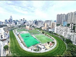 Happy Valley - Fortuna Court 12