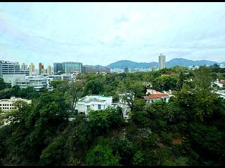 Ho Man Tin - Kadoorie Lookout 03