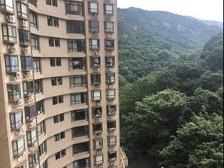 Tai Hang - Ronsdale Garden 03