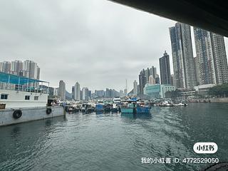 Ap Lei Chau - Coasto 06