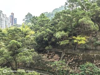 Tai Hang - Dragon Centre 04