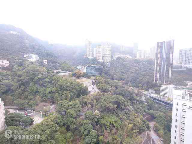 Wan Chai - Star Crest Block 1 01