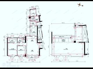 Stanley - Redhill Peninsula 09