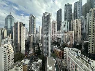 Poho - Rich View Terrace 08