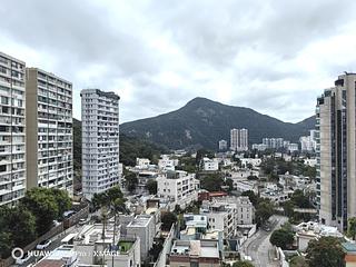 渣甸山 - 柏麗園 03