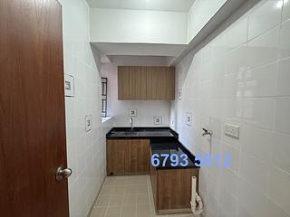 Poho - Tower 125 05
