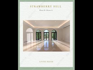 The Peak - Strawberry Hill 04