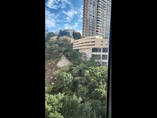 Tai Hang - Warrenwoods 09