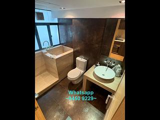 Noho - 29-31, Gough Street 15