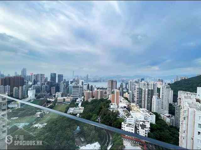 大坑 - 柏园 02