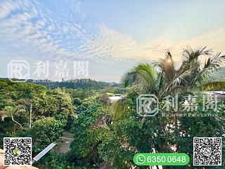 Sai Kung - Tai Mong Tsai 24