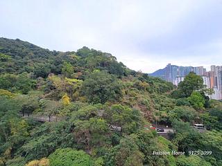 Tin Hau - The Pavilia Hill 02