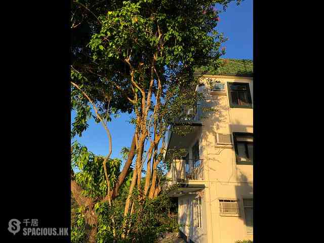 南丫岛 - 北角旧村 17