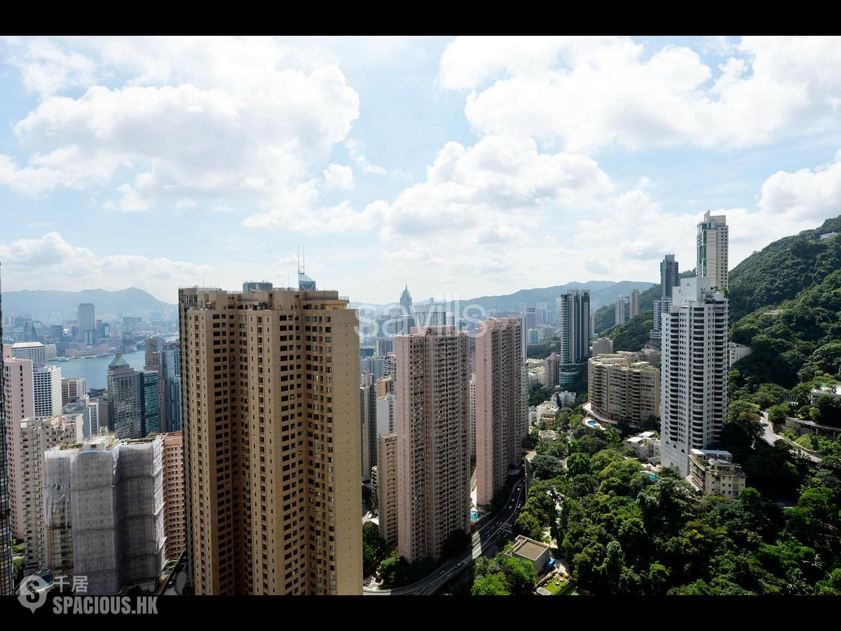 中半山 - 帝景園 01