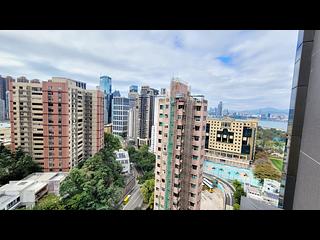 Causeway Bay - Jones Hive 02