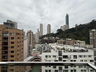 跑馬地 - 冬青閣 10