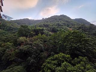 中半山 - 曉峰閣2座 02