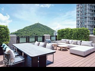 Pok Fu Lam - Mount Pokfulam 07
