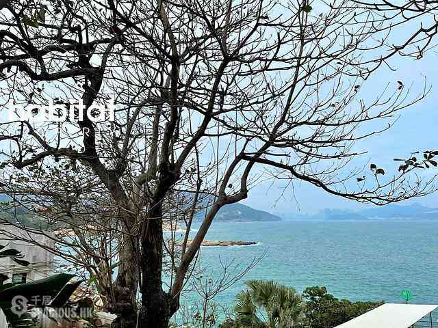 Shek O - 26, Shek O Headland 03