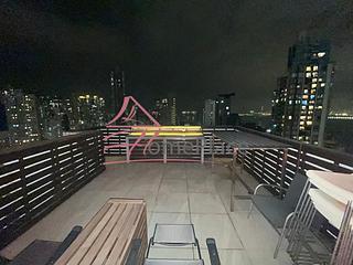 Sai Ying Pun - Macro Garden 02