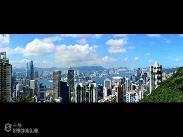 The Peak - 28, Barker Road 04