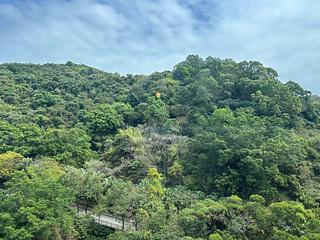 Tin Hau - The Pavilia Hill Block 3 07