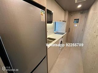 Mid Levels Central - Peach Blossom 05
